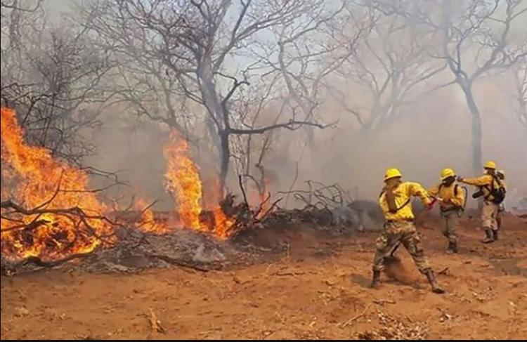 Paraguay: La Iglesia pide evitar incendios y cuidar el medioambiente Paraguay: La Iglesia pide evitar incendios y cuidar el medioambiente