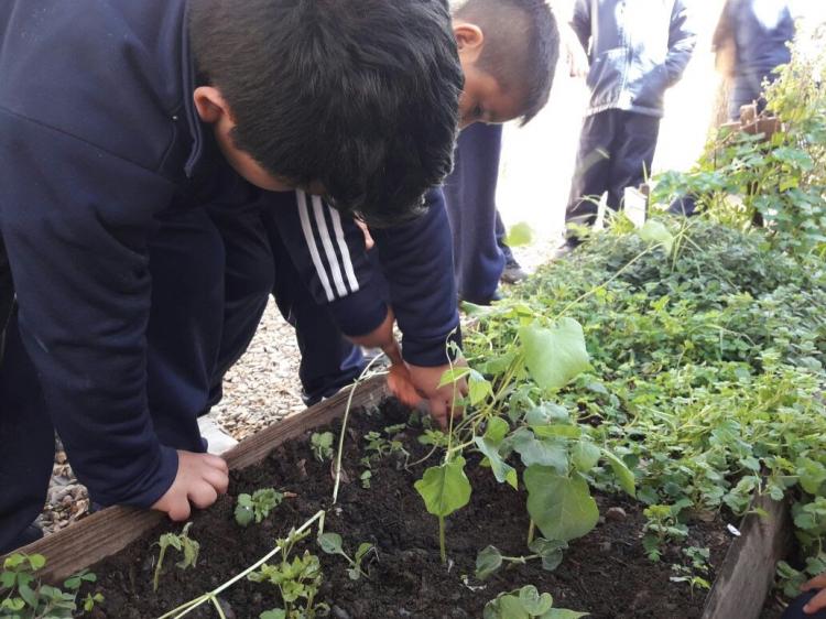 Salta: Compromiso de jóvenes salesianos por el cuidado de la Casa Común Salta: Compromiso de jóvenes salesianos por el cuidado de la Casa Común