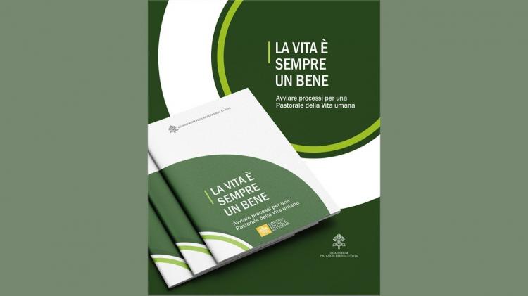 Vaticano: un nuevo documento pide una 'verdadera pastoral de la vida humana'